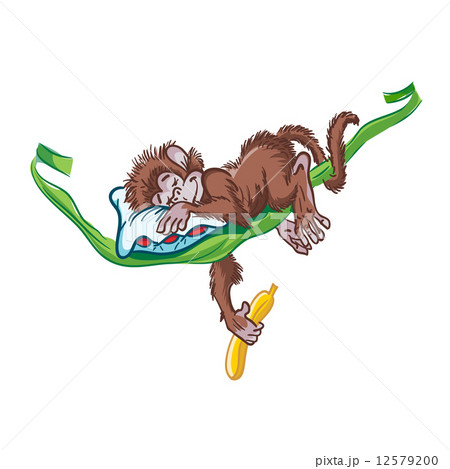 Image of sleeping monkey on the vine. Image of sleeping monkey on the vine. 12579200