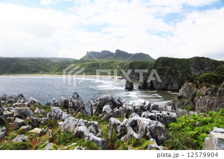 辺戸岬 12579904