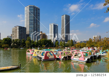 不忍池のレジャーボートと周囲の景観 12580254