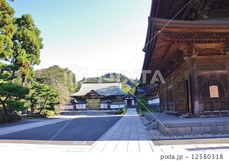 鎌倉アルプス 鎌倉アルプス 12580318