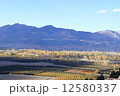 landscape of Turkey 12580337