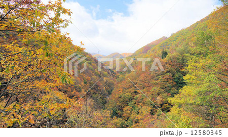 天生峠の紅葉 天生峠の紅葉 12580345