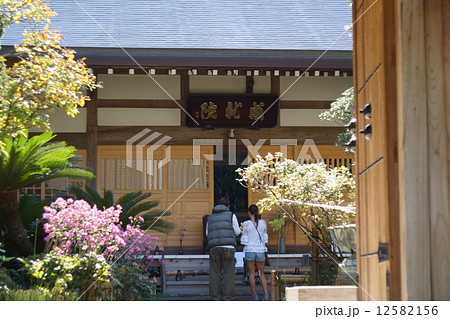 鎌倉の成就院 鎌倉の成就院 12582156