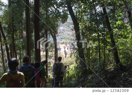 ハイキング 12582309