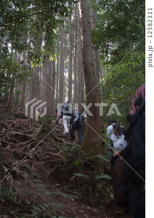 ハイキング 12582311
