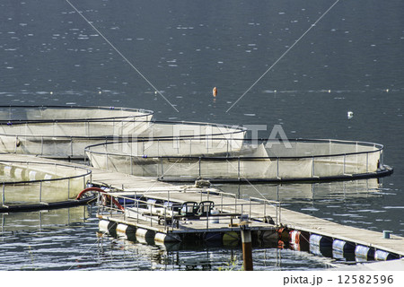 Cages for fish farming Cages for fish farming 12582596