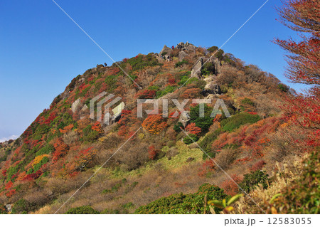 久住山の紅葉の写真素材
