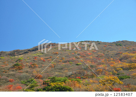 牧ノ戸峠の紅葉　秋 12583407