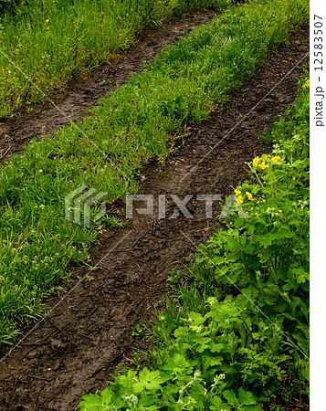 country road country road 12583507