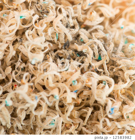 pencil shavings 12583982
