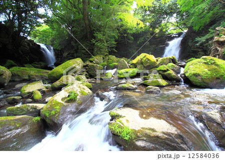 新緑の夫婦滝 新緑の夫婦滝 12584036