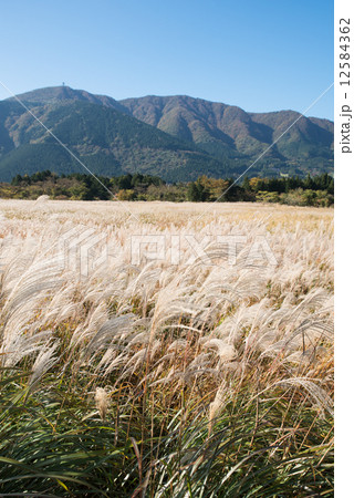 仙石高原の風景 12584362