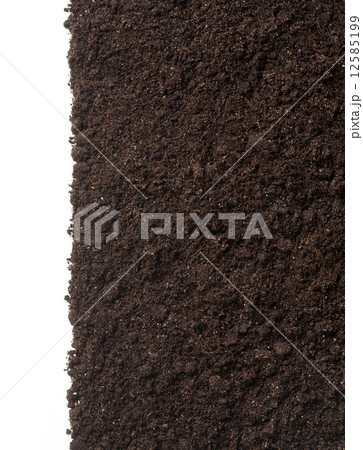 Soil or dirt texture isolated on white background 12585199