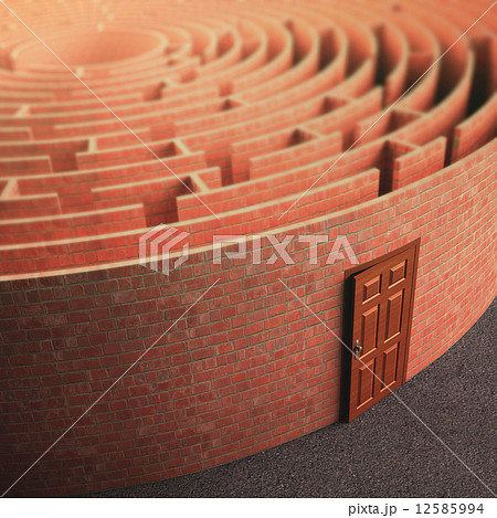 Labyrinth Wall 12585994