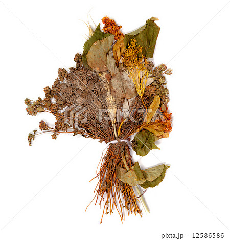 Dry wild grass and flowers Dry wild grass and flowers 12586586