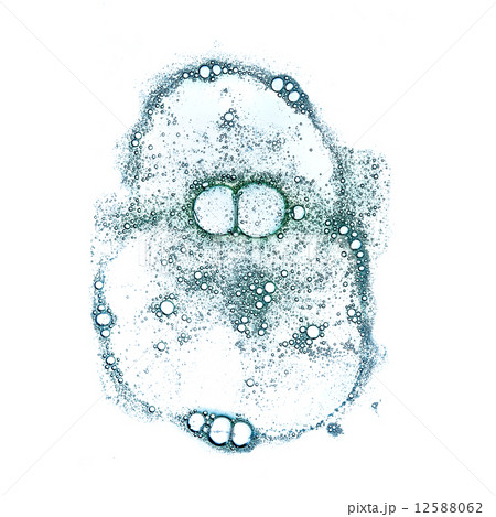 Soap bubbles on white background 12588062