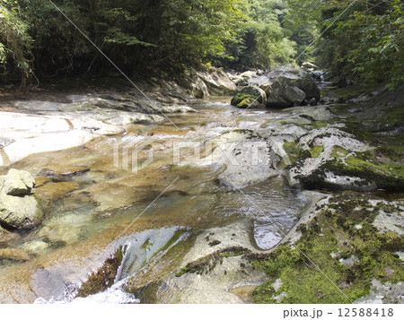 日向神川 12588418