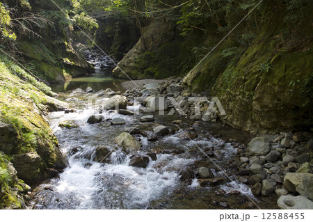 星野川 星野川 12588455