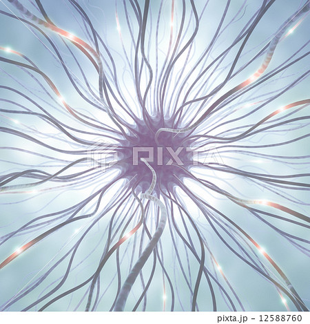 Nerve Cell Pulse 12588760