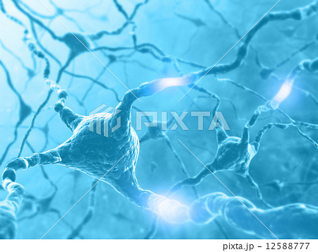 Neuron Energy 12588777