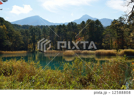裏磐梯・秋の瑠璃沼 12588808