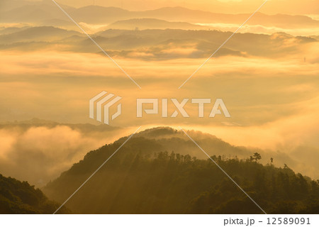 大撫山の雲海 大撫山の雲海 12589091