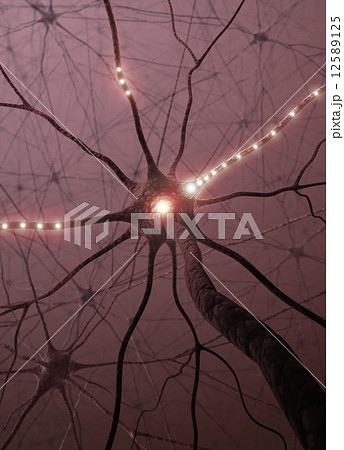 Neuron Concept Neuron Concept 12589125