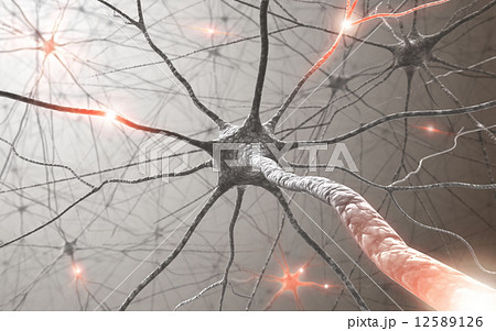 Neuron Concept 12589126