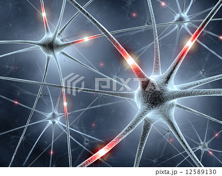 Neurons Network 12589130