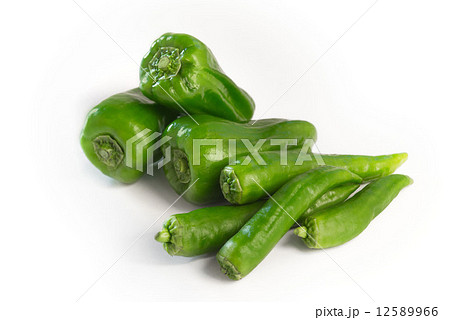 甘唐辛子とピーマン 12589966