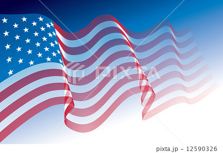 American Flag 12590326