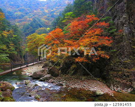 広島県三段峡2014　その１ 12591455
