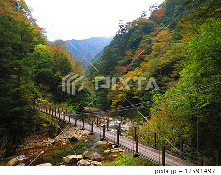 広島県三段峡　その２５ 12591497