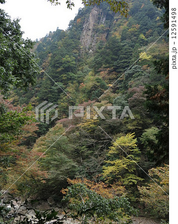 広島県三段峡　その２６ 12591498