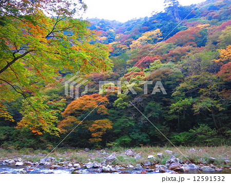 広島県　三段峡　その３９ 12591532