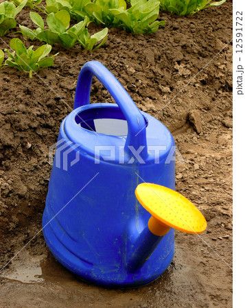 watering can 12591722
