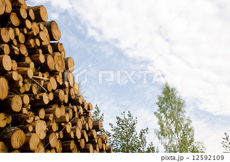 Stack detail Stack detail 12592109