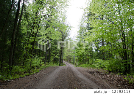 Springtime road Springtime road 12592113