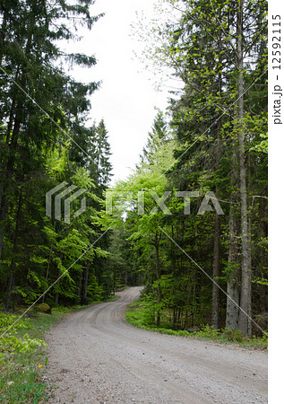 Winding road Winding road 12592115