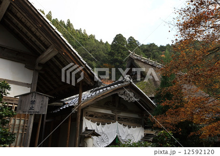 常照皇寺の紅葉 常照皇寺の紅葉 12592120