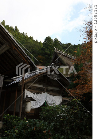 常照皇寺の紅葉 12592121