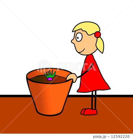 cultivation of flowers 12592220