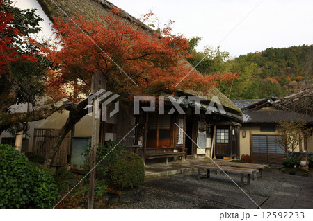 化野念仏寺の紅葉 化野念仏寺の紅葉 12592233