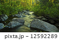 Mountain Stream 12592289