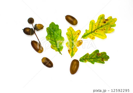 Fall symbols decoration still life Fall symbols decoration still life 12592295