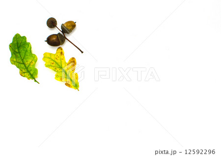 Fall symbols decoration on white 12592296
