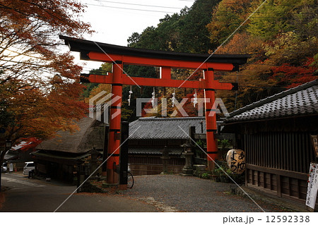 嵯峨鳥居本の紅葉 嵯峨鳥居本の紅葉 12592338