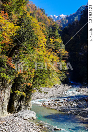 紅葉の欅平 12592523