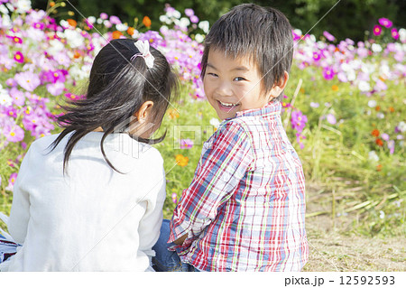 コスモス畑の子供達 コスモス畑の子供達 12592593