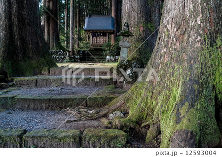 芦峅寺雄山神社2 12593004